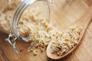 Kaşık ile genç fasulye