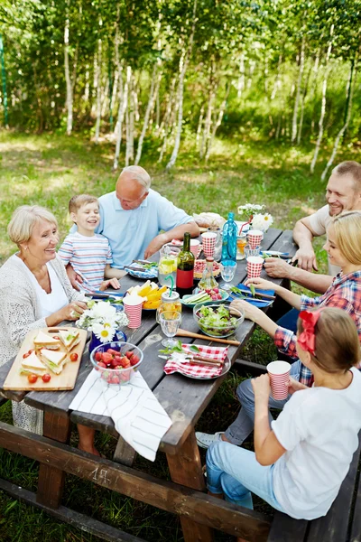 Familjen ha picknick — Stockfoto