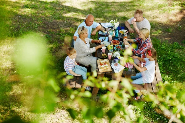 Famille profiter de pique-nique — Photo