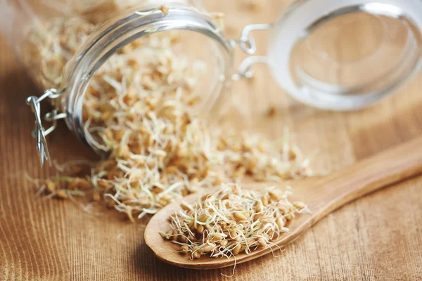 Young beans with spoon — Stock Photo, Image