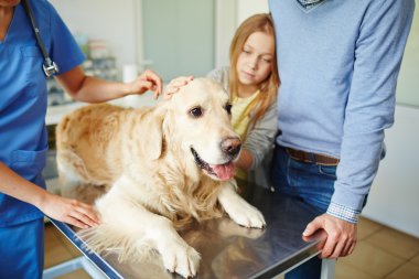 Kız onu evde beslenen hayvan vasıl 
