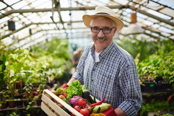 Agricultor maduro com legumes — Fotografia de Stock