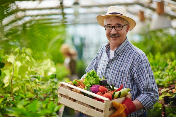 Volwassen boer met groenten — Stockfoto