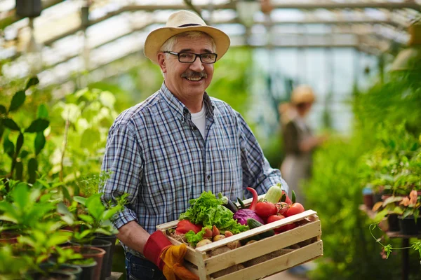 Volwassen boer met groenten — Stockfoto