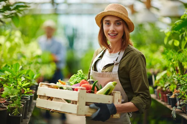 Jardinero con verduras maduras — Foto de Stock