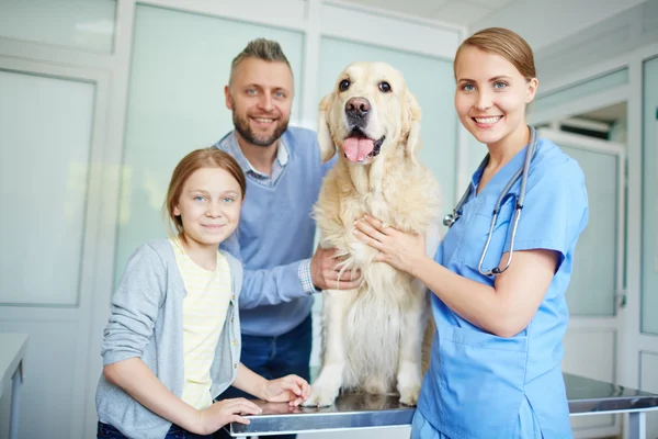 Vet and family with dog — Stock Photo, Image