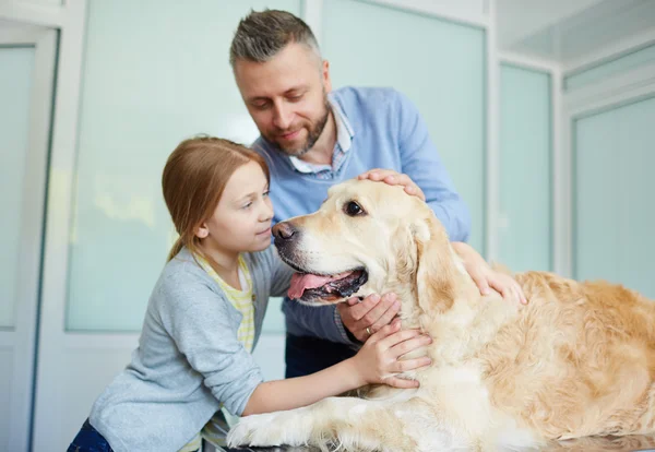 Menina com o pai acariciando animal de estimação em clínicas veterinárias — Fotografia de Stock