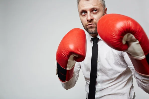 Líder de negócios em luvas de boxe — Fotografia de Stock