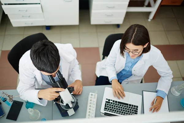 Två forskare som arbetar i team i laboratorium — Stockfoto