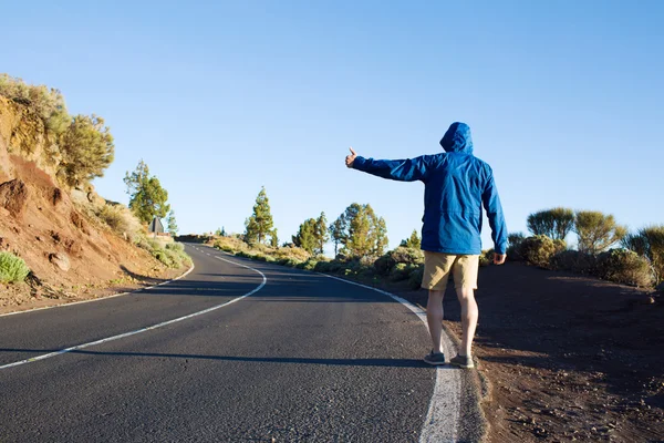 Modern hitch-hiker standing by roadway — Stock Photo, Image