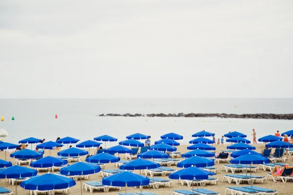 Piaszczysta plaża z leżakami i parasolami — Zdjęcie stockowe