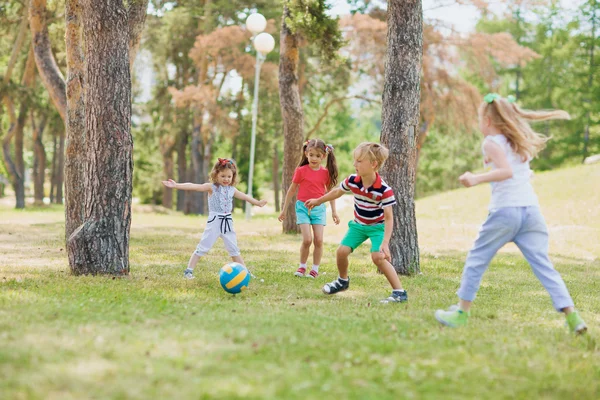 Groep vriendelijke jonge geitjes — Stockfoto