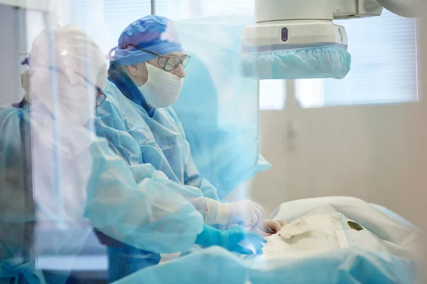 Surgeon with nurse doing operation — Stock Photo, Image