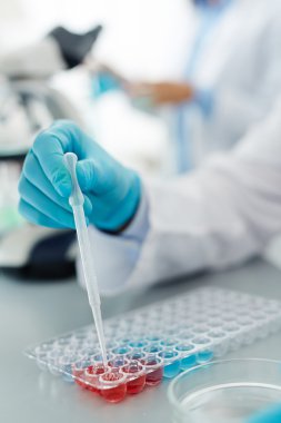 İnsan elinde mavi eldiven 