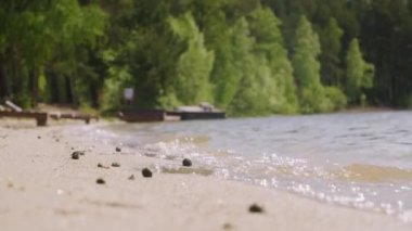 Arka planda temiz kum ve ormanla birlikte göl kıyısında berrak, parlak su dalgalarının yakın plan görüntüsü.