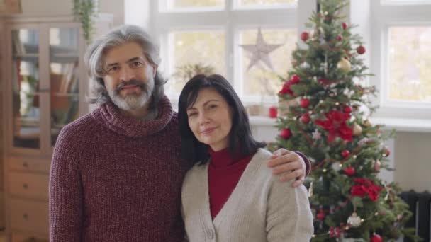 大人の女と男の肖像 グレーの髪とひげが同居するクリスマスのリビングルームとカメラを見る — ストック動画