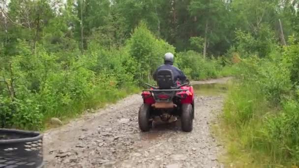 Tracking Shot People Full Riding Gear Driving Quad Bikes Forest — Wideo stockowe