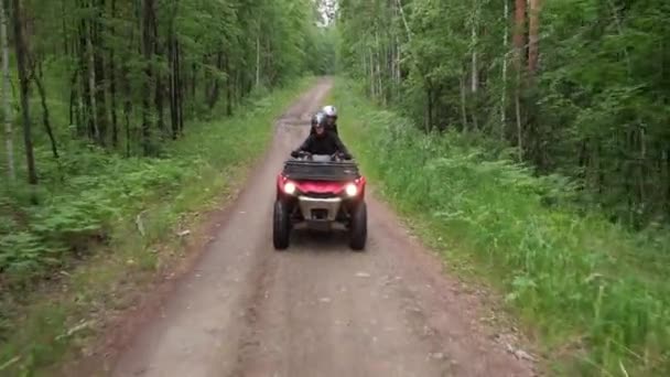 Spårning Människor Hjälmar Som Kör Röd Fyrhjuling Längs Skogsvägen Mot — Stockvideo