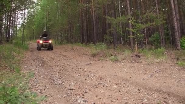 Mann Mit Helm Fährt Mit Rotem Quad Auf Feldweg Wald — Stockvideo