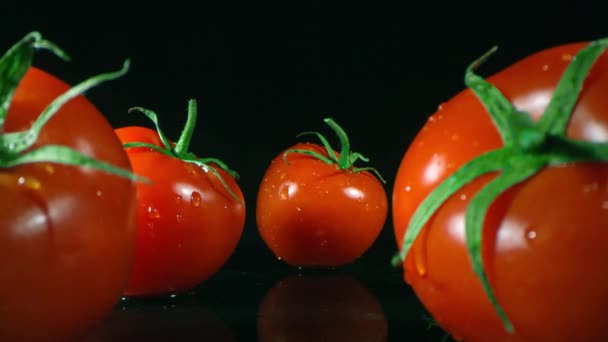 Zoom Metraje Macro Tomates Maduros Húmedos Recién Recogidos Con Gotas — Vídeos de Stock