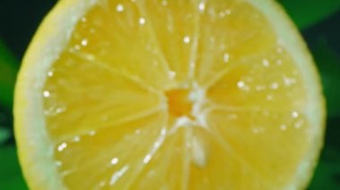 Parlak ve parlak limonlu makro görüntüler. Yarısı et ve çekirdekli. Ev yapımı ve taze seçilmiş.