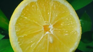 Ağaç limonundan toplanan, büyük yeşil dallı, sulu tatlı dilimi ve tohumları gösteren yakınlaşmayı göster.