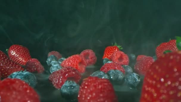 Dollying Out Slow Macro Shot Wild Forest Raw Vegan Berries — Vídeo de Stock