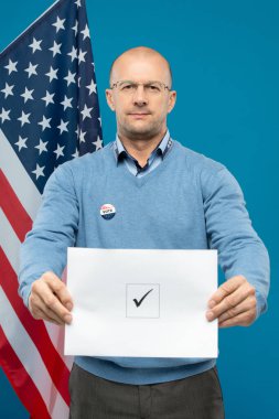 Gözlüklü ve mavi kazaklı olgun kel işadamı Amerikan bayrağının karşısında dururken size oy pusulasını kare kare gösteriyor.