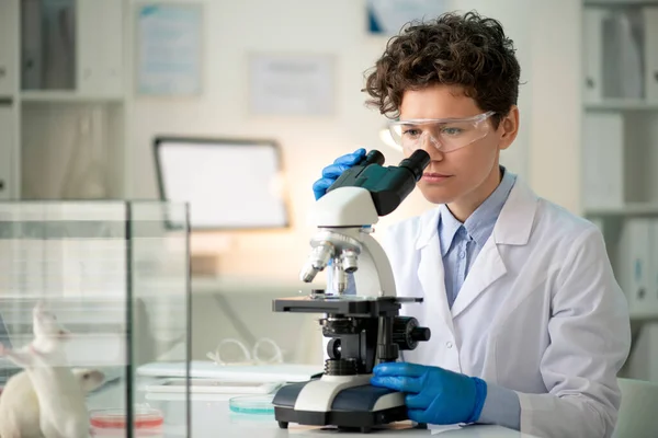 Laboratuvarda Farelerle Deney Yaparken Mikroskopta Antikorlara Bakan Çağdaş Genç Bayan — Stok fotoğraf