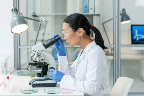 Jeune Ouvrière Laboratoire Asiatique Gants Lunettes Whitecoat Étudiant Microscope Échantillon — Photo