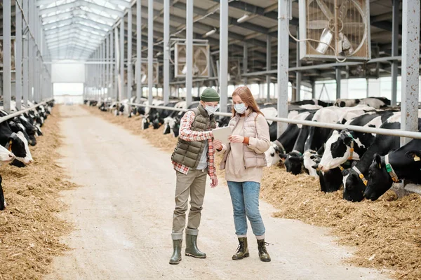 Moeder Zoon Beschermende Maskers Met Behulp Van Digitale Tablet Tijdens — Stockfoto