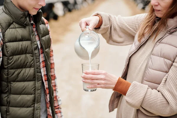 Close Woman Vest Pouring Fresh Milk Pitcher Son Milking Cow — Stock Photo, Image