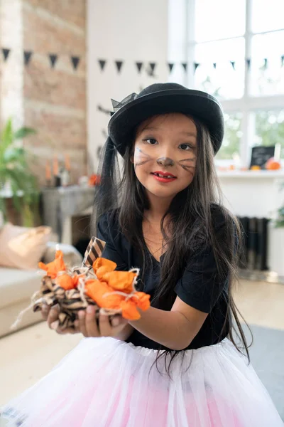 Portrait Content Beautiful Asian Girl Kitty Makeup Wearing Black Hat — Stock Photo, Image