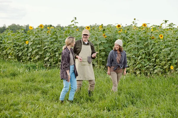 Three Cheerful Friendly People Workwear Moving Green Grass Sunflower Field — Stock Photo, Image