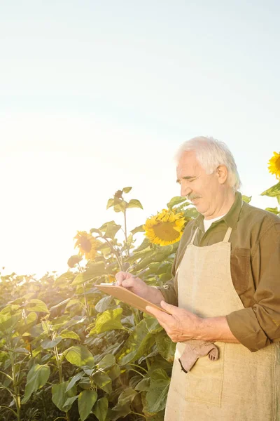 Contemporary Senior Male Farmer Apron Shirt Making Notes Document While — Stock Photo, Image