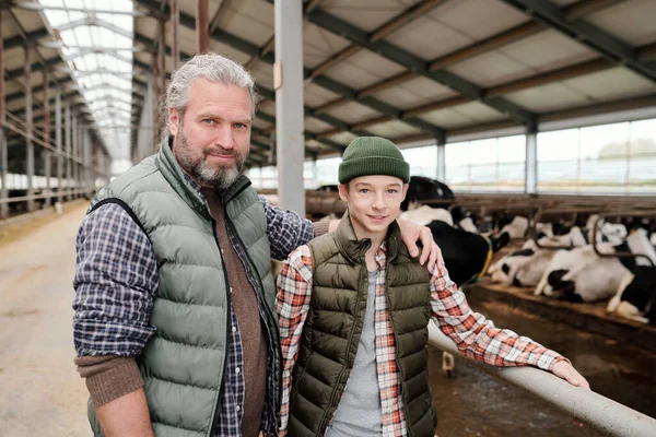 Portrait Smiling Bearded Farmer His Teenage Son Standing Contemporary Cowshed — Stock Photo, Image