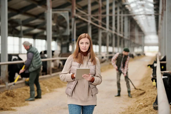 Porträt Einer Ernsthaften Bäuerin Die Die Viehproduktion Mit Einem Tablet — Stockfoto