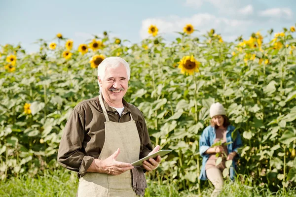 Mature Cheerful Male Farmer Workwear Standing Front Camera Using Touchpad — Stock Photo, Image