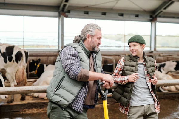 Positive Mature Father His Son Leaning Railing Stall Discussing Livestock — Stock Photo, Image