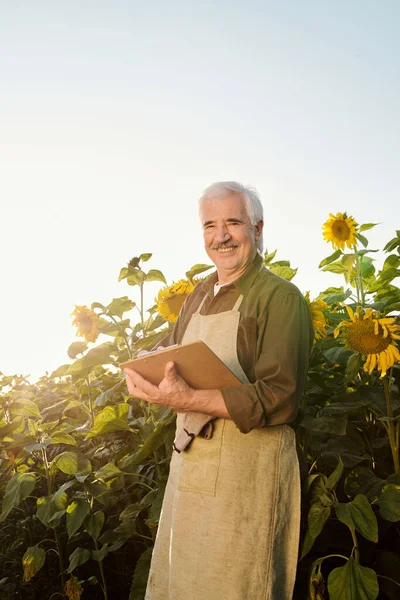Starszy Rolnik Śmiejący Się Fartuchu Koszuli Patrząc Ciebie Podczas Czytania — Zdjęcie stockowe