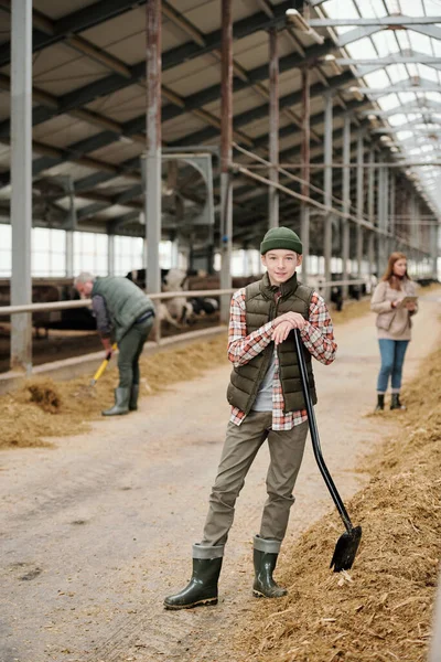 Portrait Content Teenage Boy Hat Standing Shovel Cowshed Working Parents — Stock Photo, Image