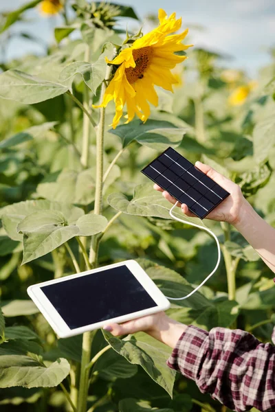 Mãos Jovem Agricultora Roupas Trabalho Segurando Tablet Digital Conectado Bateria — Fotografia de Stock