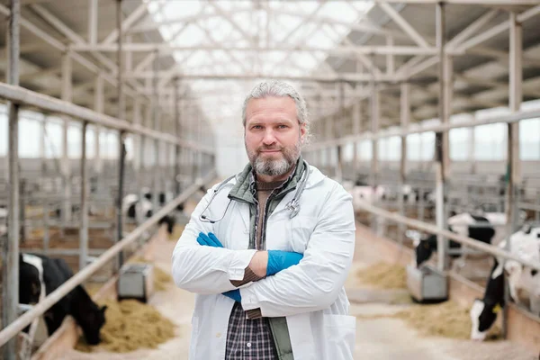 Retrato Sorrir Veterinário País Cabelos Grisalhos Casaco Branco Com Braços — Fotografia de Stock