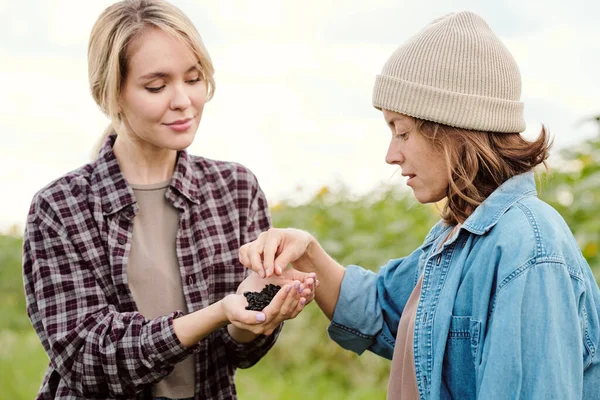 Mature Brunette Female Beanie Casualwear Taking Fresh Sunflower Seeds Hand — Stock Photo, Image