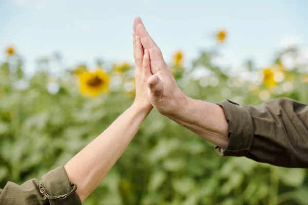 Händer Äldre Manliga Jordbrukare Arbetskläder Och Den Mogna Kvinnliga Kollega — Stockfoto