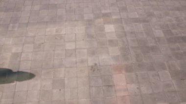 Spor giyimli genç bir bayan sporcunun yaz günü koşarken çekilmiş ağır çekim görüntüleri.
