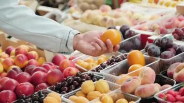 Markette taze tangelo seçerken erkek elini yakın tut.