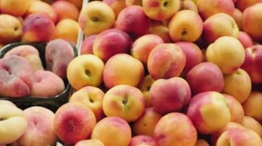 Süpermarkette ya da markette raflarda duran olgun şeftali, nektarin, elma, kayısı, kiraz, erik ve yaban mersinlerinin izini sürüyorum.