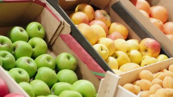 Seguimiento Primer Plano Tiro Manzanas Frescas Melocotones Tomates Que Yacen — Vídeos de Stock