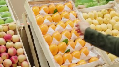 Marketteki meyve tezgahında raftan parlak limon toplayan ve yakından bakan tanınmayan genç bir kadının omuz fotoğrafı.
